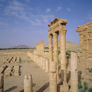 Uniformity Prints: Graeco-Roman Agora