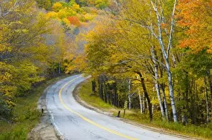 Images Dated 18th October 2010: Grafton Notch State Park, Maine, New England, United States of America, North America