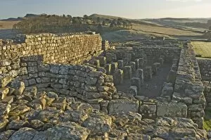 Housesteads Fort Collection: Granary showing supports for ventilated floor and circular furnace to provide heated air underfloor