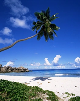 Wonderful Prints: Grand Anse