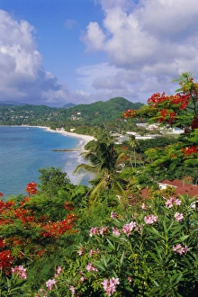 Grand Anse Prints: Grand Anse Beach