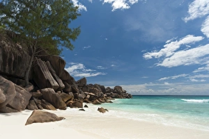 La Digue Prints: Grand Anse beach, La Digue, Seychelles, Indian Ocean, Africa
