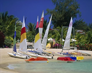 Sails Prints: Grand Baie, Mauritius, Indian Ocean, Africa