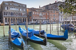 Grand Canal Prints: Grand Canal and Gondola Station, Venice, UNESCO World Heritage Site, Veneto, Italy