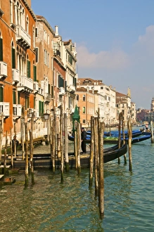 Images Dated 9th March 2009: The Grand Canal, Venice, UNESCO World Heritage Site, Veneto, Italy, Europe