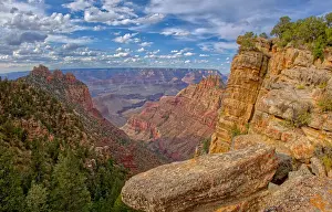 Grand Canyon Prints: Grand Canyon view just below the summit of Buggeln Hill on the South Rim, Grand Canyon