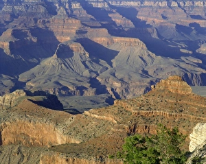 Grand Canyon Prints: The Grand Canyon viewed from Mather Point, UNESCO World Heritage Site, Arizona