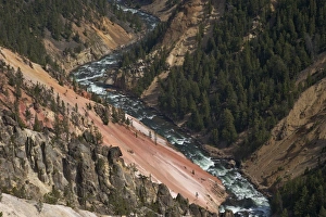 Grand Canyon Prints: Grand Canyon of the Yellowstone River