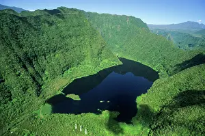Reunion Prints: Grand Etang is the largest lake of the island, Reunion