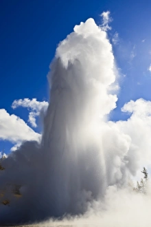 Geyser Prints: Grand Geyser erupts and steam blocks the sun