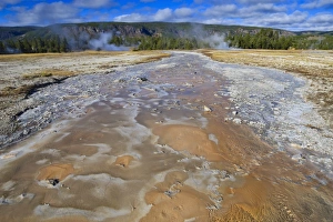 Geyser Prints: Grand Geyser run-off, Upper Geyser Basin