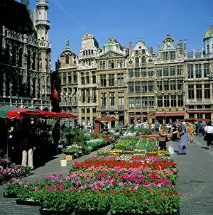 Images Dated 26th July 2008: Grand Place, Brussels (Bruxelles), Belgium, Europe