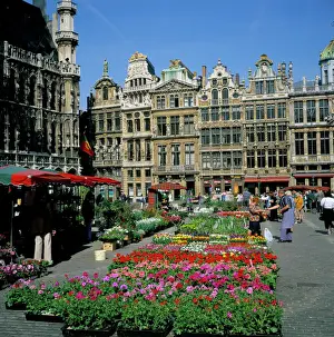 Blooming Prints: Grand Place, Brussels (Bruxelles), Belgium, Europe