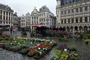 Images Dated 17th April 2009: Grand Place, UNESCO World Heritage Site, Brussels, Belgium, Europe