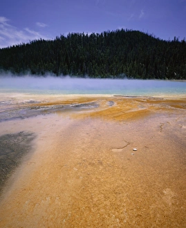 Thermal Prints: Grand Prismatic Spring
