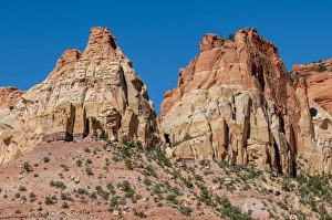 Jagged Prints: Grand Staircase-Escalante National Monument, Utah, United States of America, North