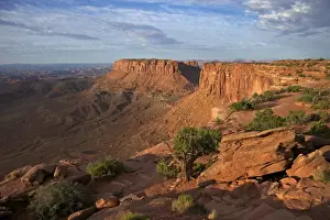 Sand Stone Prints: Grand View Point Overlook, Canyonlands National Park