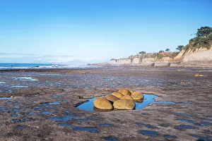 Zealand Prints: Granite boulders with water pools at low tide on a beach in New Zealand