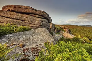 Outcrop Prints: Granite rock outcrop on the summit of Bench Tor shines in evening sunlight near Holne in Dartmoor National Park