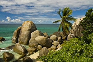 Granite Rocks Prints: Granite rocks and palm trees, Mahe, Seychelles, Indian Ocean, Africa