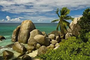 Images Dated 3rd November 2006: Granite rocks and palm trees, Mahe, Seychelles, Indian Ocean, Africa