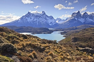 Grasses Prints: Grasses, Lago Pehoe and the Cordillera del Paine