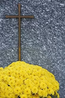 Images Dated 31st October 2006: Grave, Chedde, Haute Savoie, France, Europe