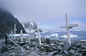 Tomb Stone Prints: Grave site with memorials to whalers and scientists