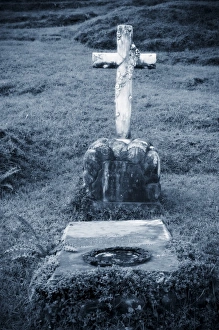 Fern Prints: Grave, St. John in the Wilderness Cemetery