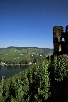 Wine Country Prints: Gravenburg castle and vineyard above the River Mosel