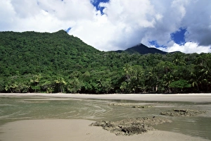 Great Barrier Reef and rainforest, Queensland, Australia, Pacific