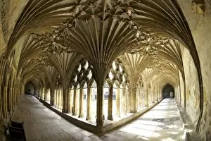 Images Dated 7th August 2011: The Great Cloisters, Canterbury Cathedral, UNESCO World Heritage Site, Canterbury, Kent, England