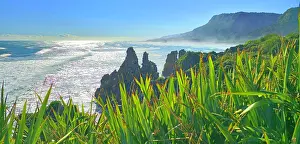 Pristine Prints: Great Coast Road, West Coast, South Island, New Zealand