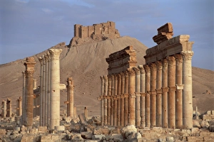 Palmyra Prints: The Great Colonnade