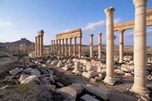 Great colonnade and the Arab castle beyond