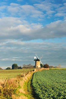 Wind Power Prints: Great Haseley Windmill, Oxfordshire, England, United Kingdom, Europe