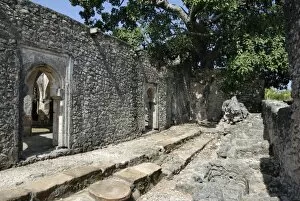 Images Dated 29th January 2008: The great mosque, Kilwa Kisiwani Island, UNESCO World Heritage Site, Tanzania