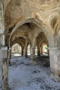 Images Dated 29th January 2008: The great mosque, Kilwa Kisiwani Island, UNESCO World Heritage Site, Tanzania
