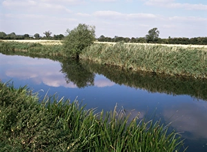 Great Ouse River near Bletsoe, Bedfordshire, England, United Kingdom, Europe
