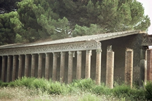 Great Palaestra