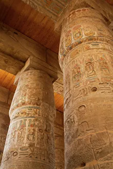 Abu Simbel Prints: The Great Papyrus Columns, Hypostyle