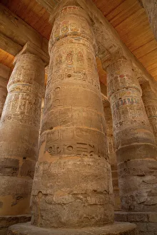 Relics Prints: The Great Papyrus Columns, Hypostyle