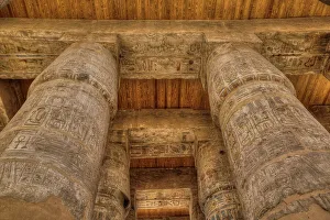 Pharaoh Prints: The Great Papyrus Columns, Hypostyle