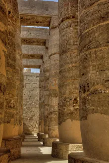 Pharaoh Prints: The Great Papyrus Columns, Hypostyle