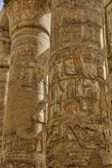 Abu Simbel Prints: The Great Papyrus Columns, Hypostyle
