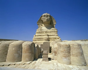 Great Sphinx Prints: The Great Sphinx, Giza, UNESCO World Heritage Site, Cairo, Egypt, North Africa, Africa