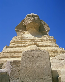 Great Sphinx Prints: The Great Sphinx and tablet or stela, Giza, UNESCO World Heritage Site