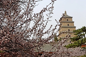 Xian Prints: Great Wild Goose Pagoda (Dayanta), built in the Tang Dynasty in the 7th century