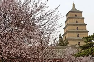 Images Dated 22nd March 2006: Great Wild Goose Pagoda (Dayanta) built during the Tang Dynasty in the 7th century