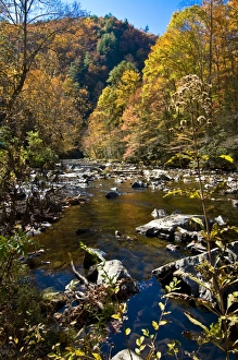 Images Dated 5th November 2008: GreatSmokeyNationalParkTN212